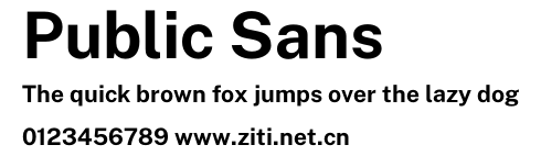 Public Sans.otf