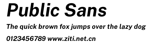 Public Sans.otf