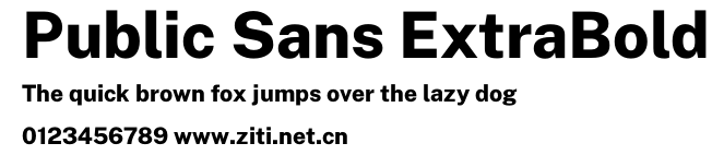 Public Sans ExtraBold.otf