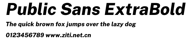 Public Sans ExtraBold.otf
