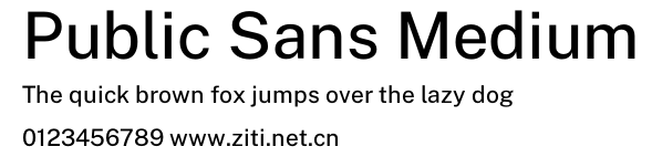 Public Sans Medium.otf