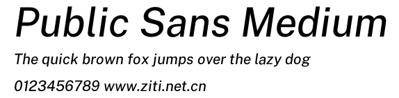 Public Sans Medium.otf