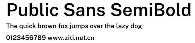 Public Sans SemiBold.otf