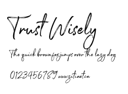 Trust Wisely.ttf