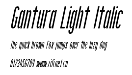Gantura Light Italic.ttf