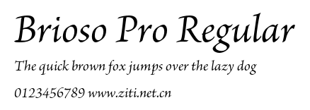Brioso Pro Regular.otf