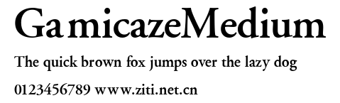 GamicazeMedium.ttf