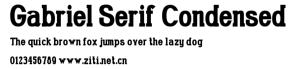 Gabriel Serif Condensed.ttf