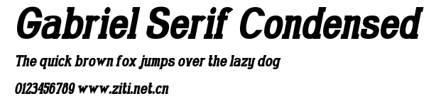 Gabriel Serif Condensed.ttf