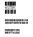 BigTope.ttf字體轉換器圖片