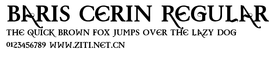 Baris Cerin Regular.ttf