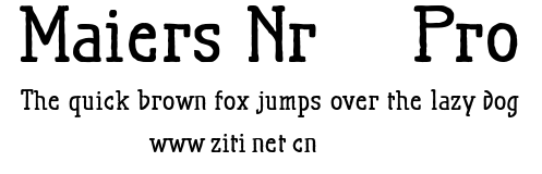 Maiers Nr.21 Pro.otf字體轉換器圖片