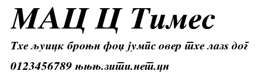 MAC C Times.ttf字體轉換器圖片