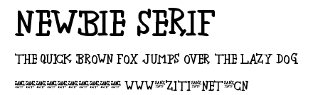 newbie serif.ttf