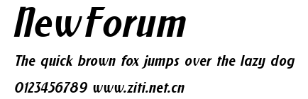 NewForum.ttf字體轉換器圖片
