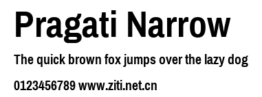Pragati Narrow.ttf字體轉換器圖片
