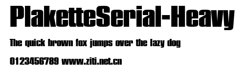 PlaketteSerial-Heavy.ttf字體轉換器圖片