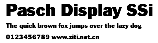 Pasch Display SSi.ttf