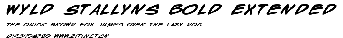 Wyld Stallyns Bold Extended.ttf字體轉換器圖片