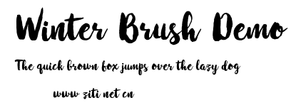 Winter Brush Demo.otf