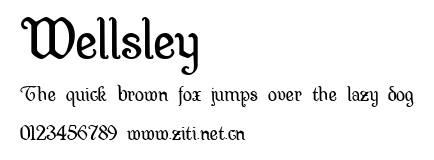 Wellsley.ttf字體轉換器圖片