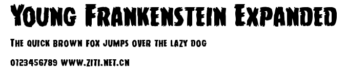 Young Frankenstein Expanded.ttf字體轉換器圖片