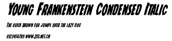 Young Frankenstein Condensed Italic.ttf