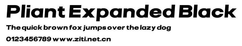 Pliant Expanded Black.ttf字體轉換器圖片
